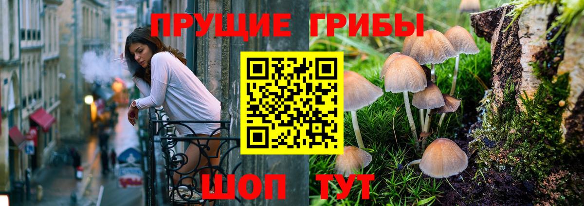 Псилоцибиновые грибы Psilocybine cubensis  Вход с VPN  Псилоцибиновые грибы прущие грибы  Менделеевск 